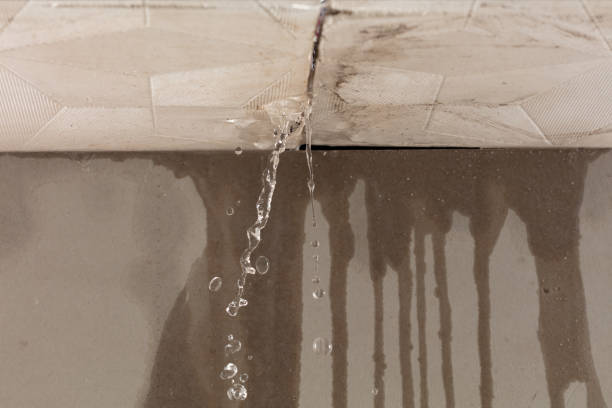 Professional Burst Pipe Cleanup technician working in Arlington, AZ